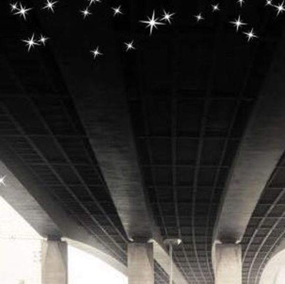 Meet your Posher, Collin - Picture 1 of 1